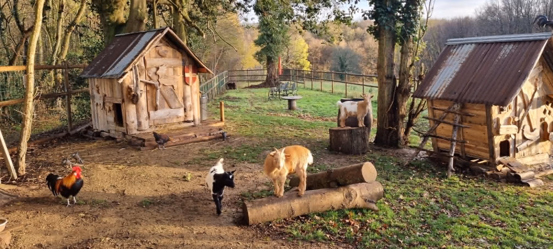Vue d'ensemble de la ferme pédagogique avec ses deux cabanes en bois, ses animaux (coq, poules, chèvres) et le paysage forestier en arrière-plan.