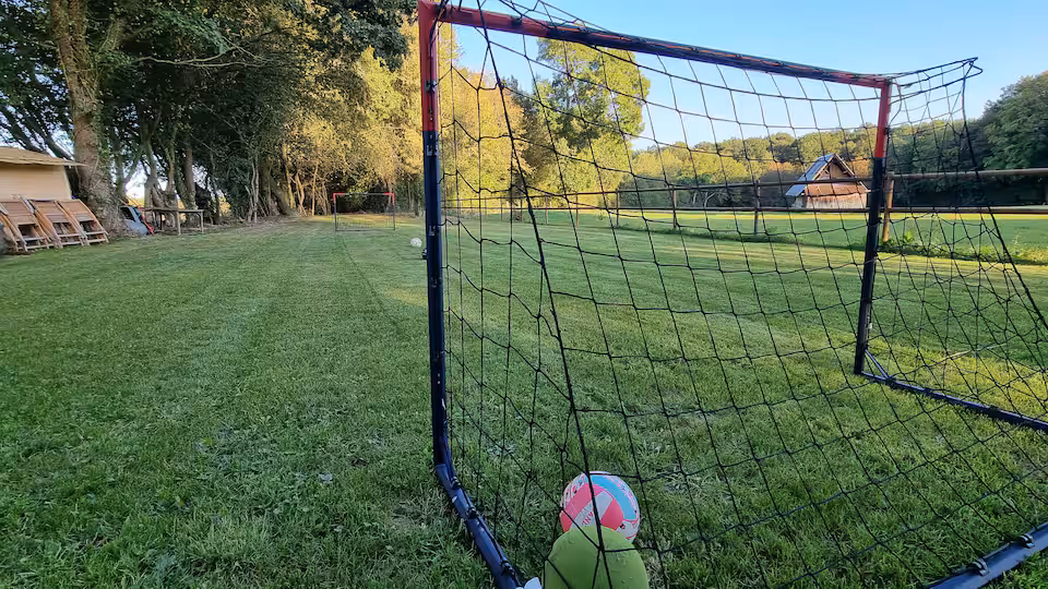 Mini-terrain de football dans le jardin avec une cage et un ballon, bordé d'arbres.